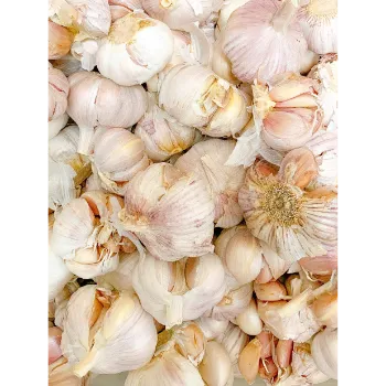 Natural Garlic 